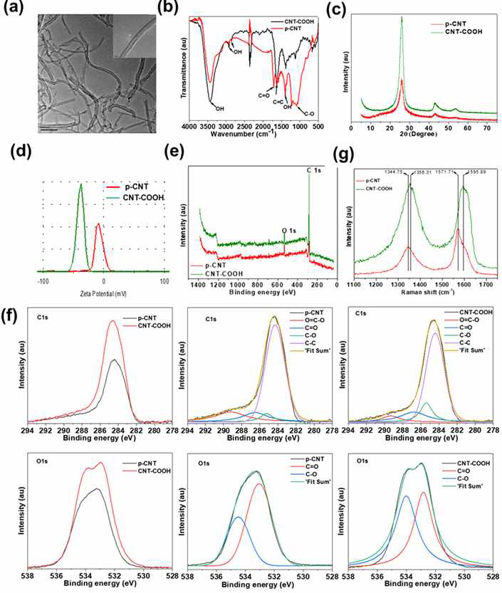 Characterization of CNTs. (A) TEM images of mono-dispersed acid-treated MWCNTs (CNT-COOH). High magnification TEM image in inset. Scale bars are 100 nm and 20 nm (inset). (B) FTIR spectra of pristine CNT (p-CNT) and CNT-COOH. (C) XRD patterns, (D) ζ-potential, (E,F) XPS spectra on wide (E) and narrow scan (F), and (G) Raman spectra