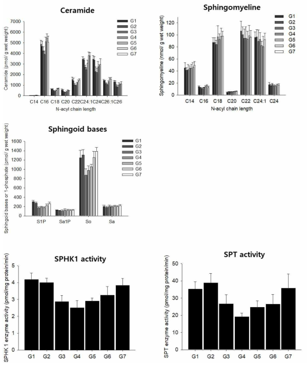 세라마이드 대사체 함량 및 관련 효소 활성