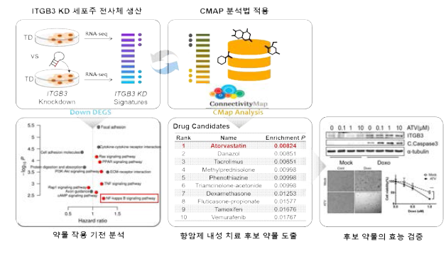 CMAP 분석법 기반 항암제 저항성 폐암 치료 약물 발굴 개요