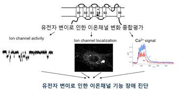 1차 연도 연구개요