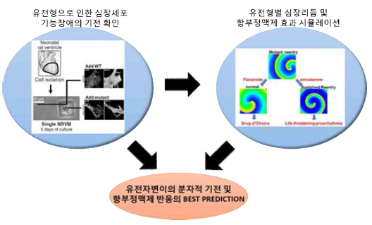 2차 연도 연구개요