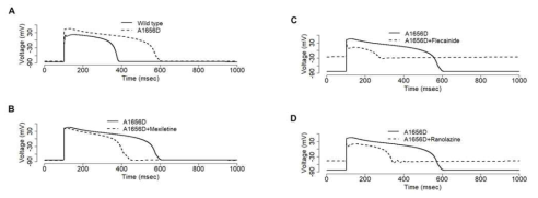 Simulation of the impact of the A1656D mutation and its modulation by Ranolazine or Mexiletine on the ventricular action potential