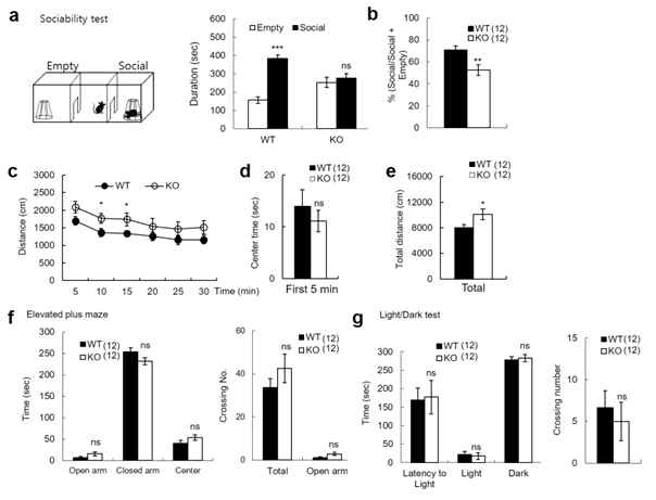 Suppressed social interaction, but normal and anxiety-like behavior in adult PRMT7 KO mice