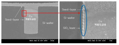 Si wafer와 충전된 Cu 복합도금층 사이의 계면