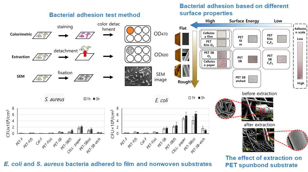 그람 특성 및 형태가 다른 세균의 섬유 부착성 평가: 세균 부착성 평가 방법 개발, 섬유의 표면에너지와 표면 거칠기에 따른 세균 부착성 분석