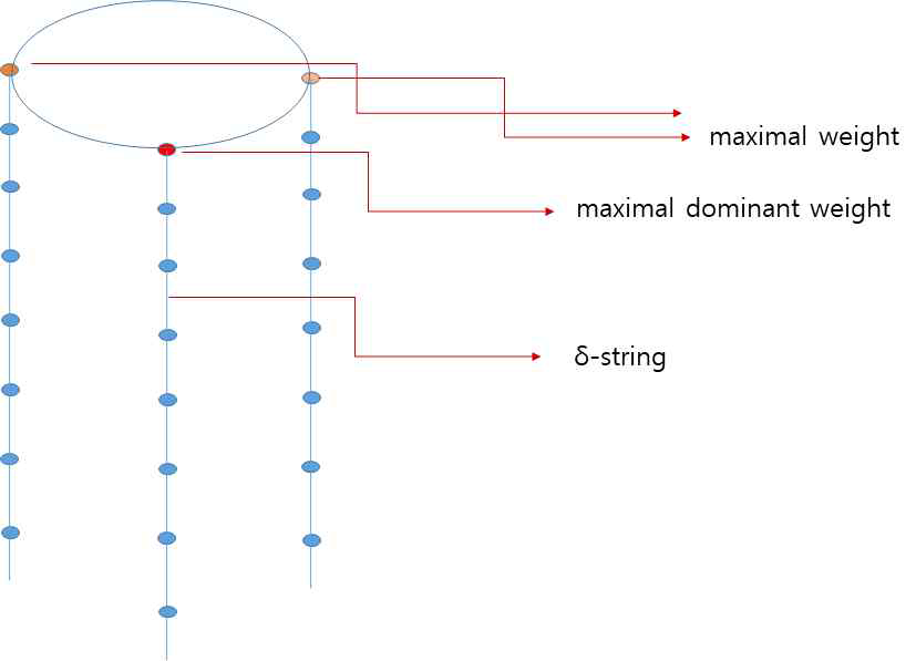 기약표현 무게들의 δ-string들 모양