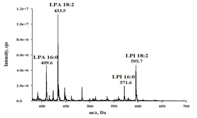 Q1 mass spectra (400 m/z–700 m/z) in negative mode of GEF. The sample (1mg/ml) was infused into the source of a API 2000™ with triple quadrupole-tandem mass using a syringe pump