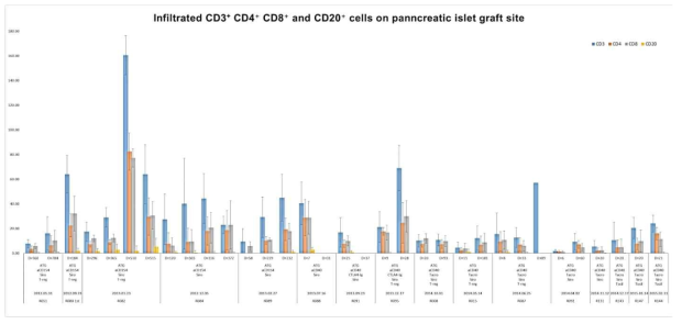 aCD154 항체 기반 면역억제요법과 aCD40 항체 기반 면역억제 요법을 이용한 이종췌도 이식에서, 이식편에 존재하는 면역세포의 분포 양상 비교