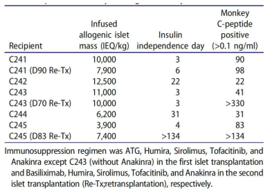 영장류 동종췌도이식 후 혈당 모니터링 결과
