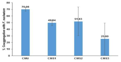 Coaggregation ability of W. cibaria strains with F. nucleatum