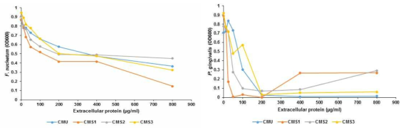 Antimicrobial effects of crude extracts of W. cibaria on malodor-inducing bacteria