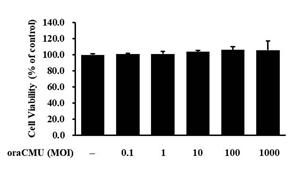 OraCMU does not affect the viability of RAW 264.7 macrophages. Data represent the mean ± standard deviation of three independent experiments. OraCMU, Weissella cibaria CMU; MOI, multiplicity of infection