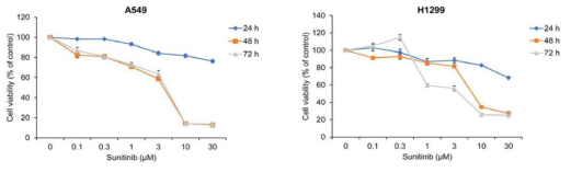 Sunitinib 의 NSCLC 세포 생장 억제 효과