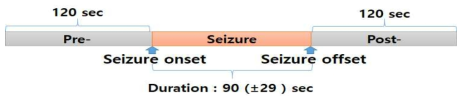 뇌전증 발작 동영상의 시간축에 대한 구성