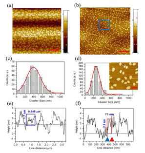 초고진공에서 (a) 절개한 MoS2 표면과 (b) 절개 후 열처리한 MoS2 표면에 비스무스를 증착한 후 대기 중에서 원자력현미경 이미지들. (c)와 (d), 비스무스 나노입자들의 크기 분포도는 (a)와 (b)의 표면에서 400 과 250 nm이다. (e)와 (f), 비스무스 나노입자들의 두께는 17과 29 Å이다