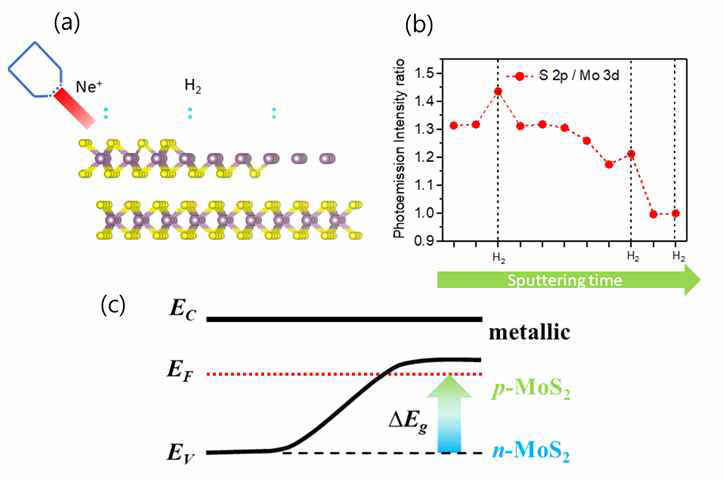 (a) 초고진공에서 MoS2 표면과 절개 후 그리고 Ne 이온 스퍼터링 후의 수소 반응성 도식도. (b) 각 표면에서의 S 2p/Mo 3d 내각준위의 변화. (c) Ne 이온 스퍼터링에 따른 n-type에서 p-type 특성 변화와 금속화 과정의 도식도
