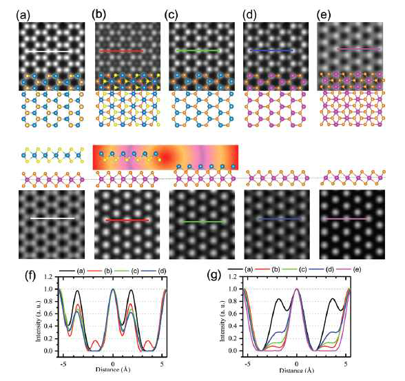 (a)-(e), 열처리를 통한 탈황에 의한 MoS2의 구조 상전이. (상단) BF-STEM 전산모사된 이미지들. (중단) (a) 2H-MoS2의 두 층, (b) 표면의 S층만 탈황된 경우, (c) 위층의 S층이 탈황된 경우, (d) 1H-MoS2 단일층, 그리고 (e) 1T-MoS2 단일층 구조의 상면도와 측면도. (하단) HAADF-STEM 전 산모사된 이미지들. (f),(g), BF-와 HAADF-STEM 이미지들의 선 분석