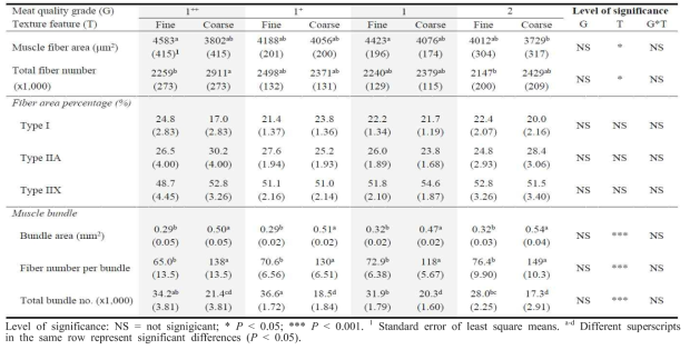 Muscle fiber and bundle characteristics of the bovine longissimus thoracis muscle in groups defined by the beef quality grade and surface texture feature