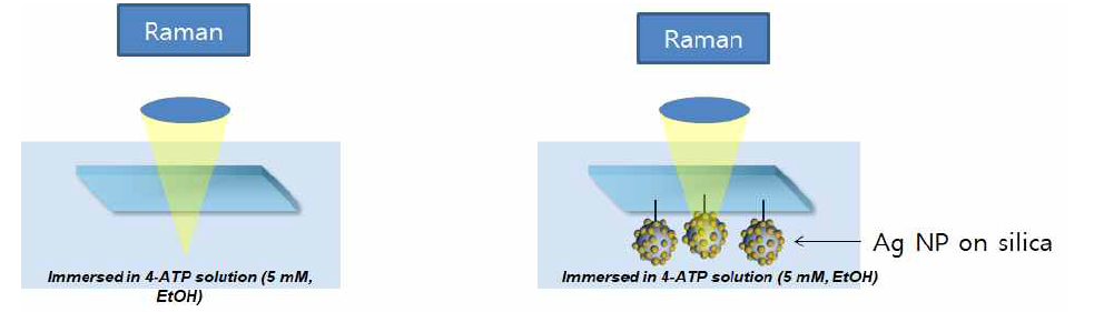 신호증폭 실험 셋업. 순수한 유리 기판(좌)과 금속나노입자가 코팅된 기판(우)을 이용한 라만 신호 증폭 실험