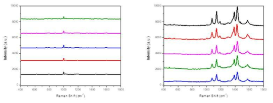 순수한 유리 기판(좌)과 금속나노입자가 코팅된 기판(우)를 이용한 희석된 4-ATP 용액에 대한 라만 측정 결과