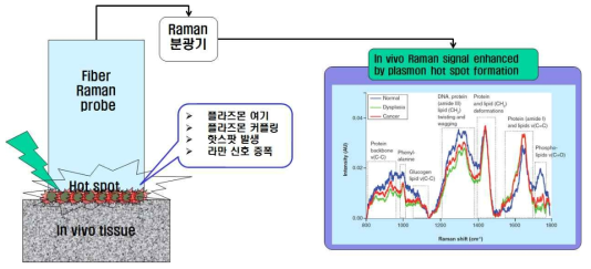 과제의 개요