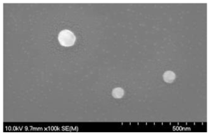 합성된 금속나노입자의 SEM 이미지