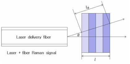 라만 측정을 위해 광섬유를 통과한 레이저가 필터에 입사되는 과정