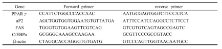 Oligonucleotide sequence of mouse primer