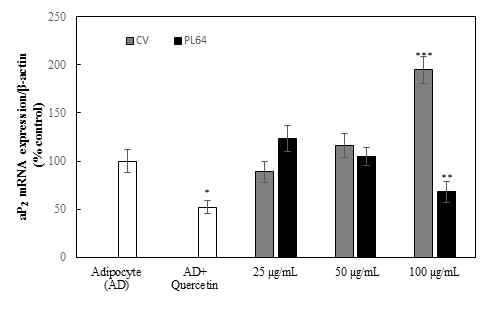 점질물 처리에 따른 aP2 유전자 발현량 *,**, and *** adipocyte vs quercetin,25, 50, 100 μg/mL