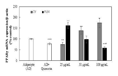 점질물 처리에 따른 PPARγ 유전자 발현량 *,**, and *** adipocyte vs quercetin, 25, 50, 100 μg/mL, + quercetin vs 25, 50, 100 μg/mL
