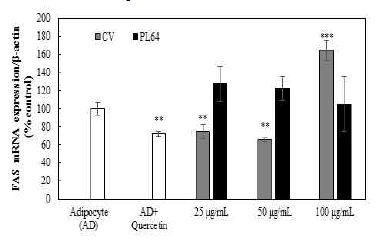 점질물처리에 따른 FAS 유전자 발현량 *,**, and *** adipocyte vs quercetin, 25, 50, 100 μg/mL