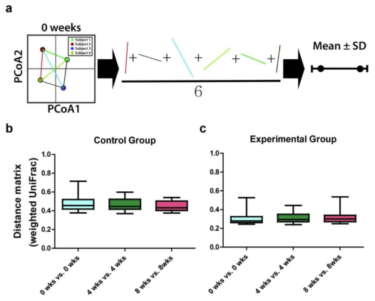 각 시점별 대조군과 실험군의 평균 weighted UniFrac distance matrix 비교. (a) 장내 미생물 군집의 조성에 대한 평균 weighted UniFrac distance matrix의 개략도. 모든 샘플 사이의 평균 거리를 사용하여 대상체의 장내 미생물 군이 각각의 시점에서 얼마나 차이가 있는지 결정 함. 각 시점 내의 (b) 대조군 및 (c) 실험군 간의 weighted UniFrac distance matrix의 box plot
