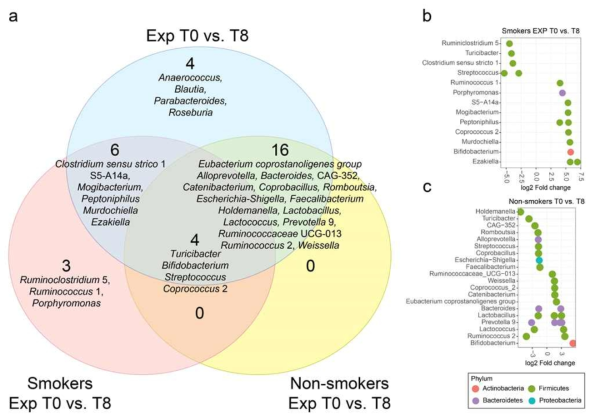 실험군의 흡연자(금연자)와 비흡연자 그룹의 장내 미생물 군집 구성 변화. (a)전체 실험군, 흡연자 그룹, 비흡연자 그룹의 0주차와 8주차의 군집 구성 변화 벤다이어그램, (b)실험군의 흡연자 그룹, (c)비흡연자 그룹의 0주차와 8주차 log2 fold change