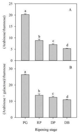 Ratios of arabinose to rhamnose (A) and arabinose plus galactose to rhamnose (B) in HCl-soluble pectins of ‘Bluecrop’ highbush blueberry fruits during ripening. Vertical bars represent standard errors of the means (n = 3). Different letters indicate significant differences among ripening stages by DMRT at P < 0.05. PG, pale green; RP, reddish purple; DP, dark purple; DB, dark blue