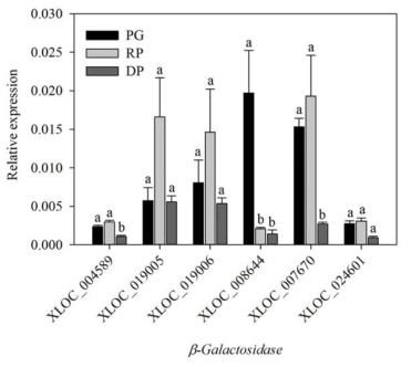 Relative expressions of genes encoding β-galactosidase in ‘Bluecrop’ highbush blueberry fruits during ripening. PG, pale green; RP, reddish purple; DP, dark purple