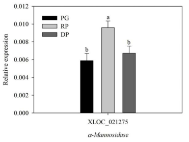 Relative expressions of genes encoding α-mannosidase in ‘Bluecrop’ highbush blueberry fruits during ripening. PG, pale green; RP, reddish purple; DP, dark purple