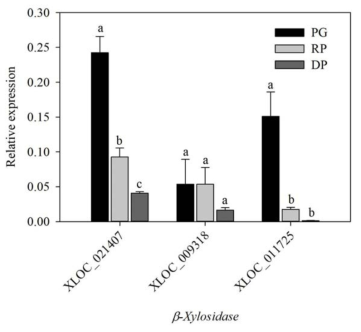 Relative expressions of genes encoding β-xylosidase in ‘Bluecrop’ highbush blueberry fruits during ripening. PG, pale green; RP, reddish purple; DP, dark purple