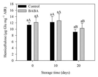 Hemicellulose contents in control and BABA-treated ‘Bluecrop’ highbush blueberry fruit during refrigerated storage. Vertical bars represent standard errors of the means (n = 3). Significant differences are marked with lowercase letters (a and b) within treatment and with uppercase letters (A, B, and C) within storage time by DMRT at P < 0.05. Glu, glucose; AIR, alcohol-insoluble residue