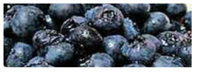 excessive softening of blueberry fruit