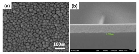 (a) surface and (b) cross-section image of as-deposited 50.2Ti-Ni(at.%) thin film