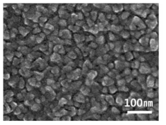 FE-SEM image of 50.2Ti-Ni(at.%) thin film annealed at 873K for 1h