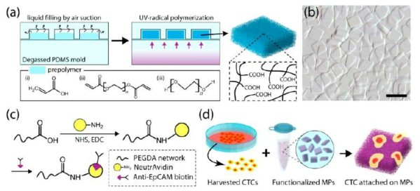 degassed mold lithography를 이용한 microparticle 제작