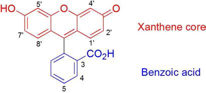 플루오레세인의 구조