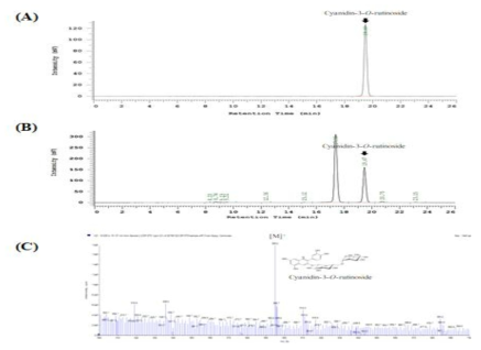 HPLC chromatograms of C3R (A) and ethanol extract from Morus alba (B).LC-MS spectra of C3R in ethanol extract of Morus alba (C)
