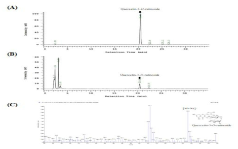 HPLC chromatograms of Q3R (A) and ethanol extract from Morus alba (B). LC-MS spectra of Q3R in ethanol extract of Morus alba (C)