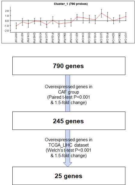 CAF 유전체 분석
