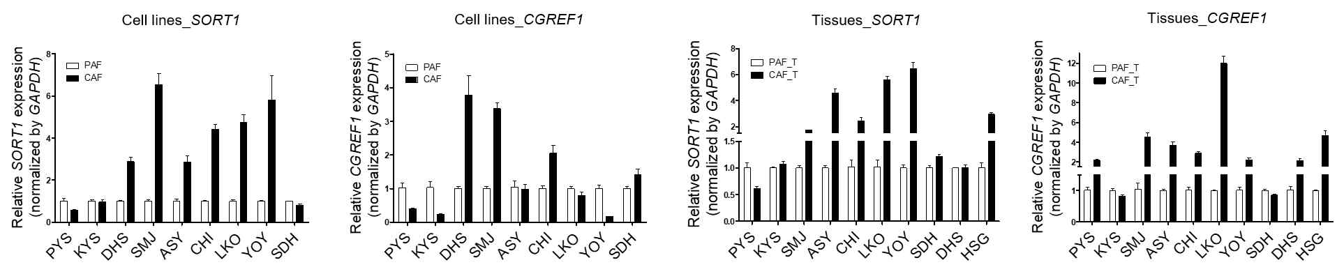 PAF/CAF 세포주와 PAF/CAF 조직에서 타겟 유전자의 mRNA 발현 수준 확인