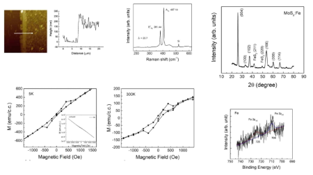MoS2:Fe 박막의 AFM, Raman, XRD, M-H 및 XPS 측정 결과