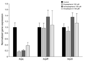 Hopeaphenol, isohopeaphenol, ampelopsin A에 의한 hrpL, hrpR, hrpS 유전자 발현량 비교를 위한 real-time PCR 분석 결과