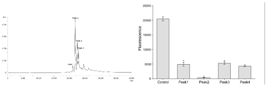 포도 추출물의 sep-pak C18 40% methanol fraction의 HPLC 분석 결과 (왼쪽) 및 peak별 활성에 따른 GFP 발현비교 (오른쪽)